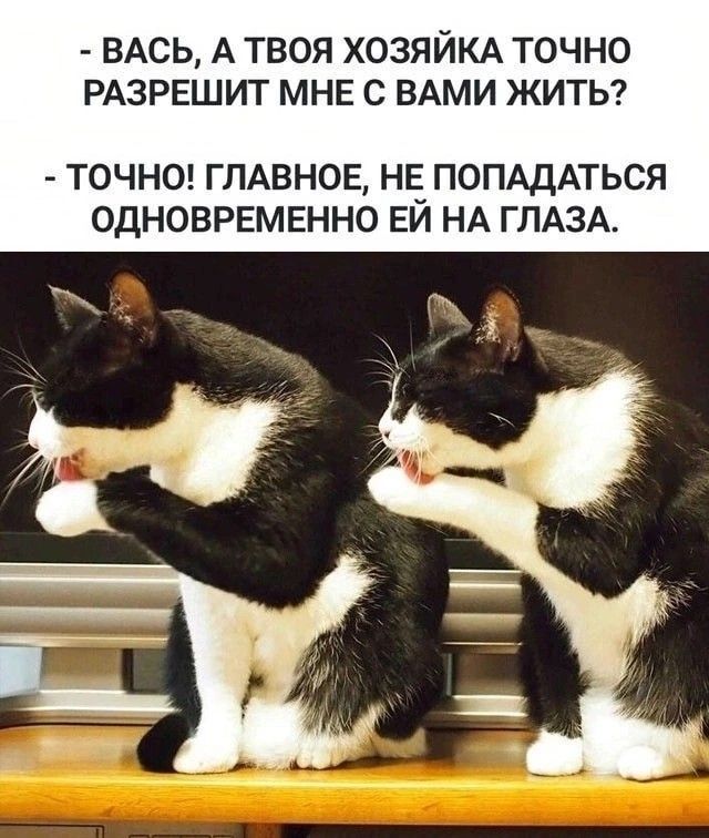 ����� (���� �� ��� �� ���������)