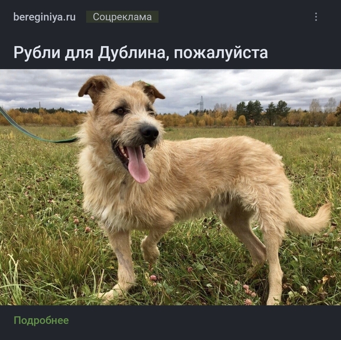 ������ ������� �����!