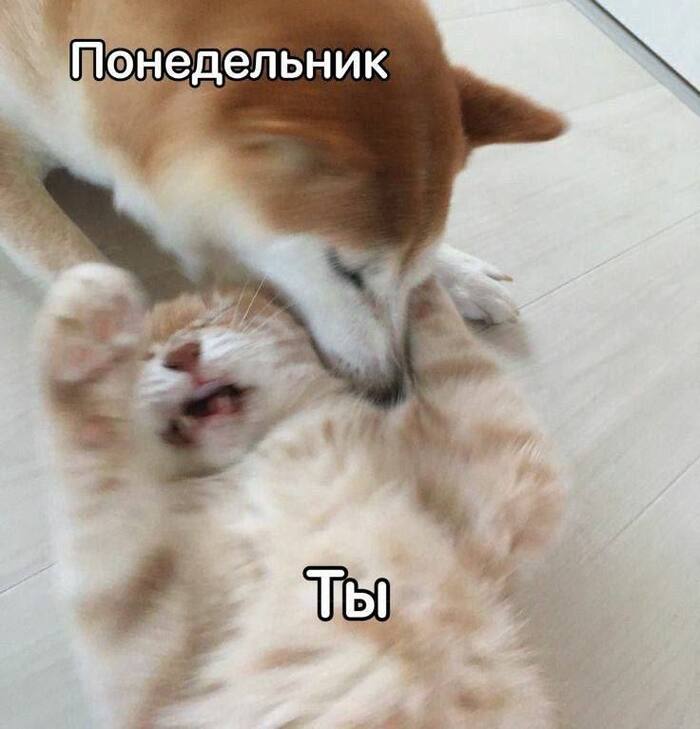Я?! Я...