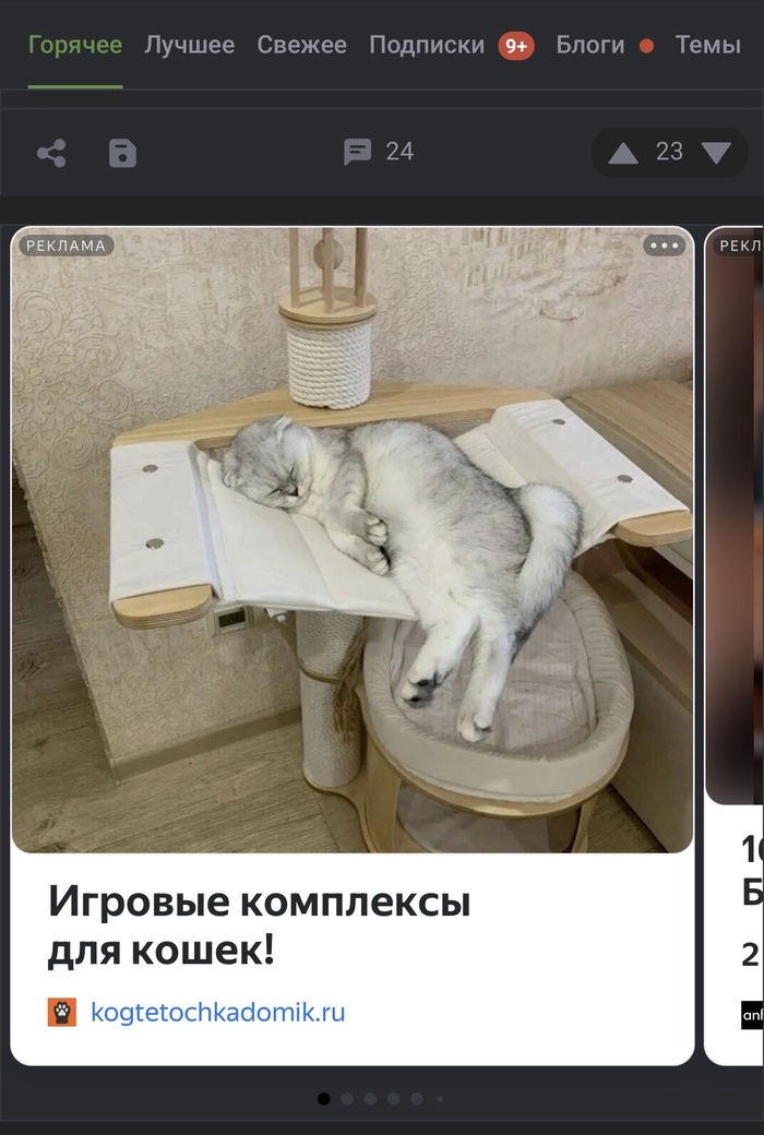 Вот такие весёлые игры и безудержное веселье у рекламного кота))