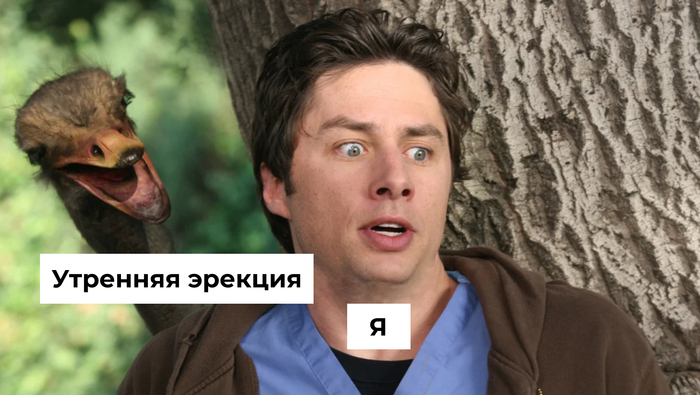 Как можно сломать член и зачем телу ночные эрекции: отвечаем на неловкие вопросы