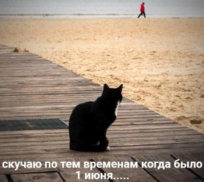 Лето - лето, ты куда ушло ?