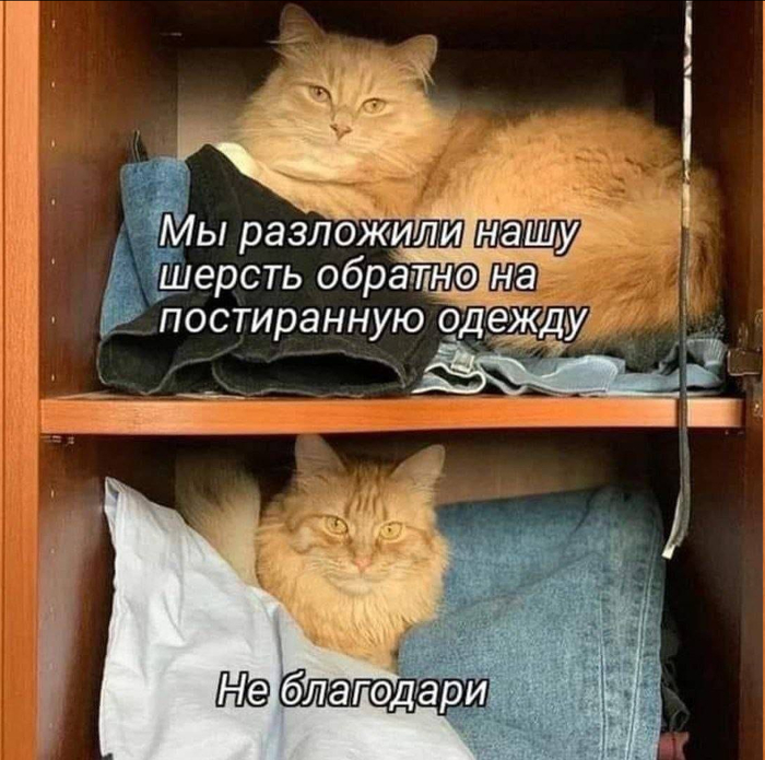 Разложили