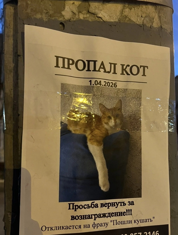 Вниманиерозыск