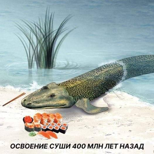 �������� ����