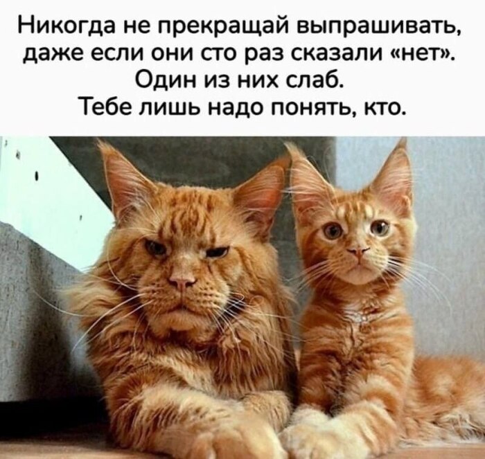 ������� �� ���������...