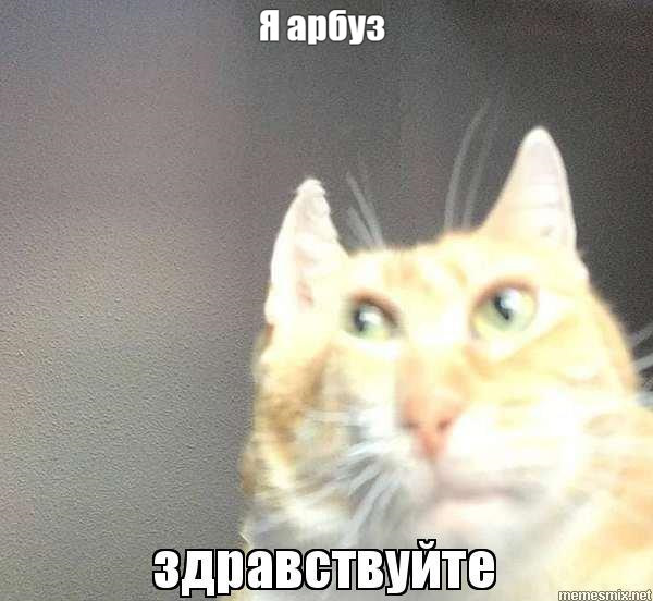 Ответ на пост «Как знаки зодиака едят арбуз»