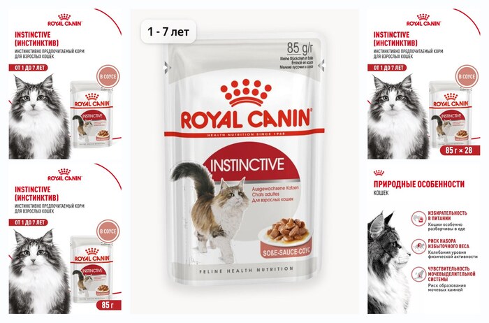 Влажный корм для кошек Royal Canin Instinctive кусочки в соусе, 28 шт по 85 г