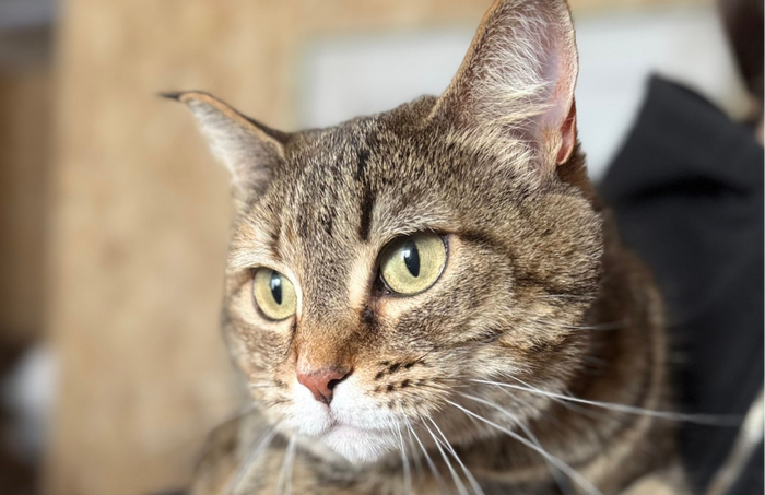 � � � � � ������� 3-5 ���