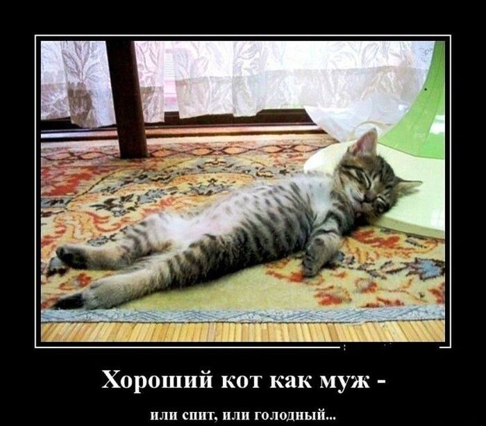 �� ����� ��� � ...