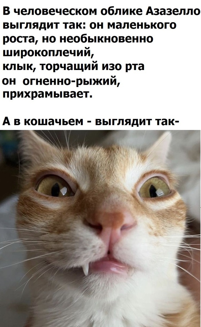 Азазелло? Котозелло!