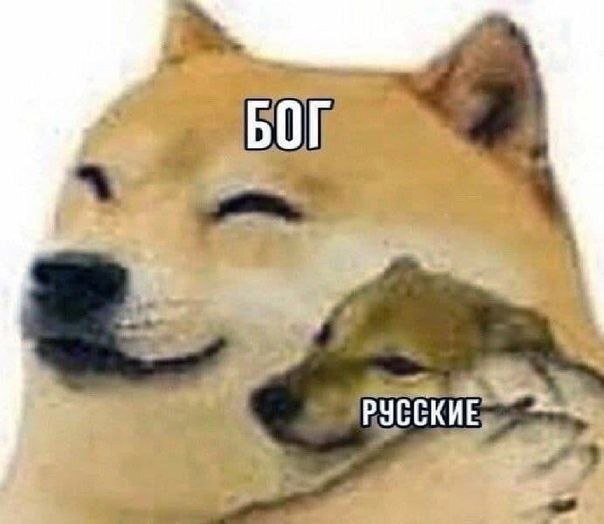 Начинаем пятницу с милоты