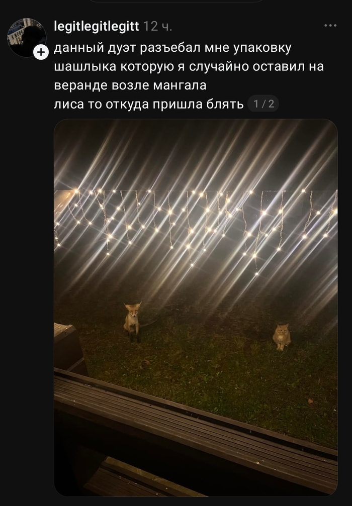 ������� �������