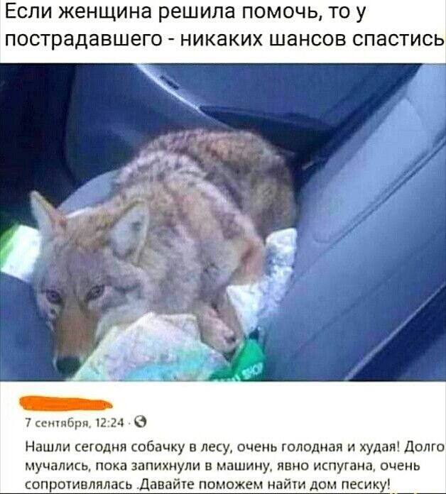 Спасение енота:)