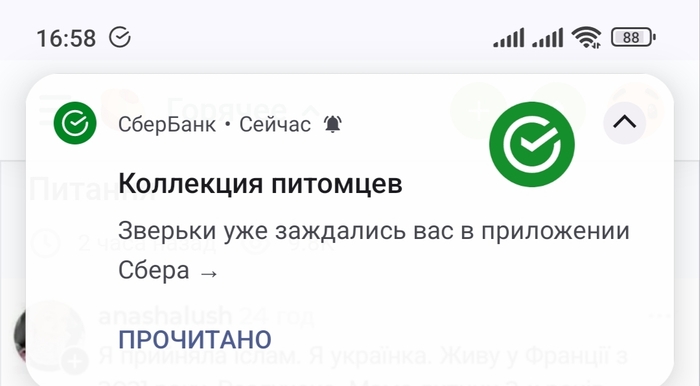 Зверьки уже заждались...