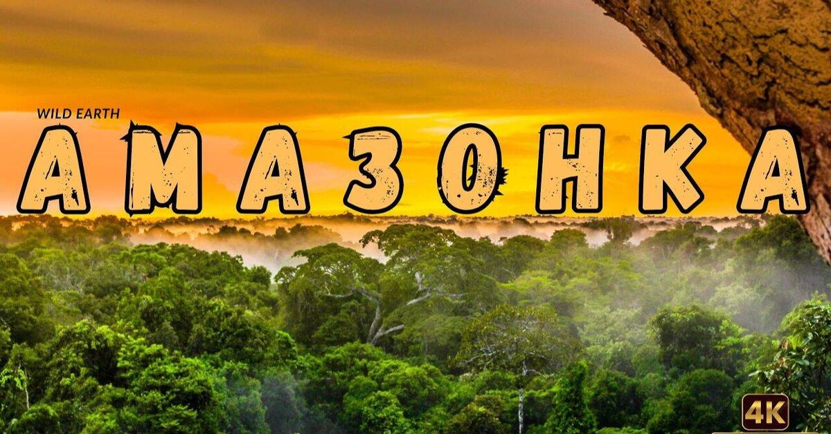 Wild Amazon: Legends of the Jungle - Nature, Amazon, Jungle, Animals, Documentary, Surroundings, Wild animals, Video, Rutube
