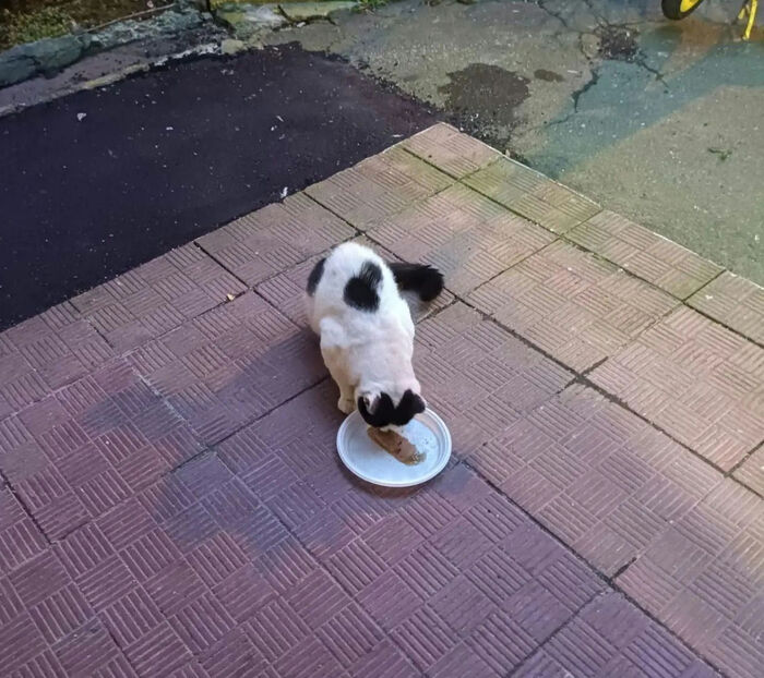 �����