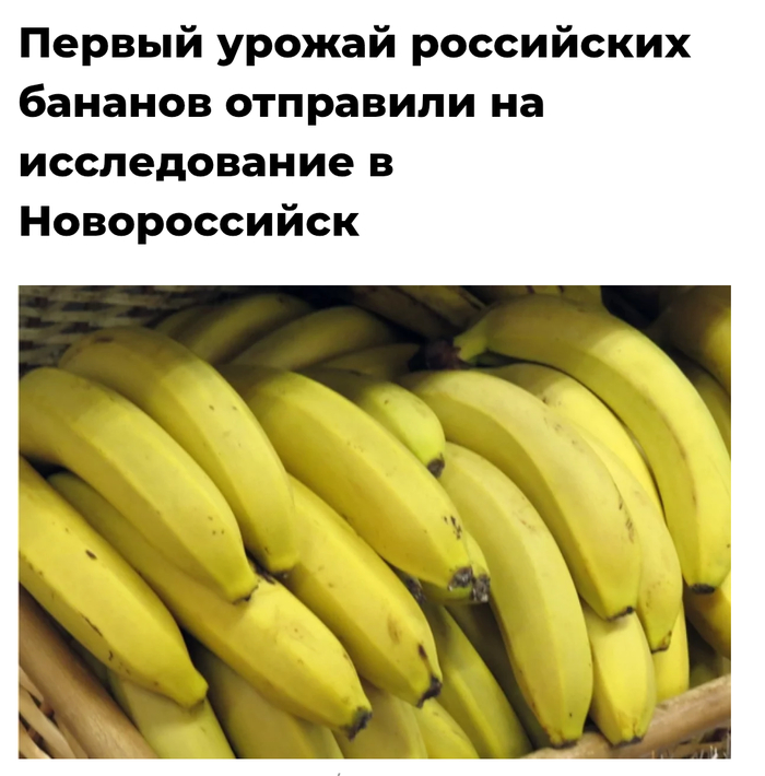 Импортозамещение