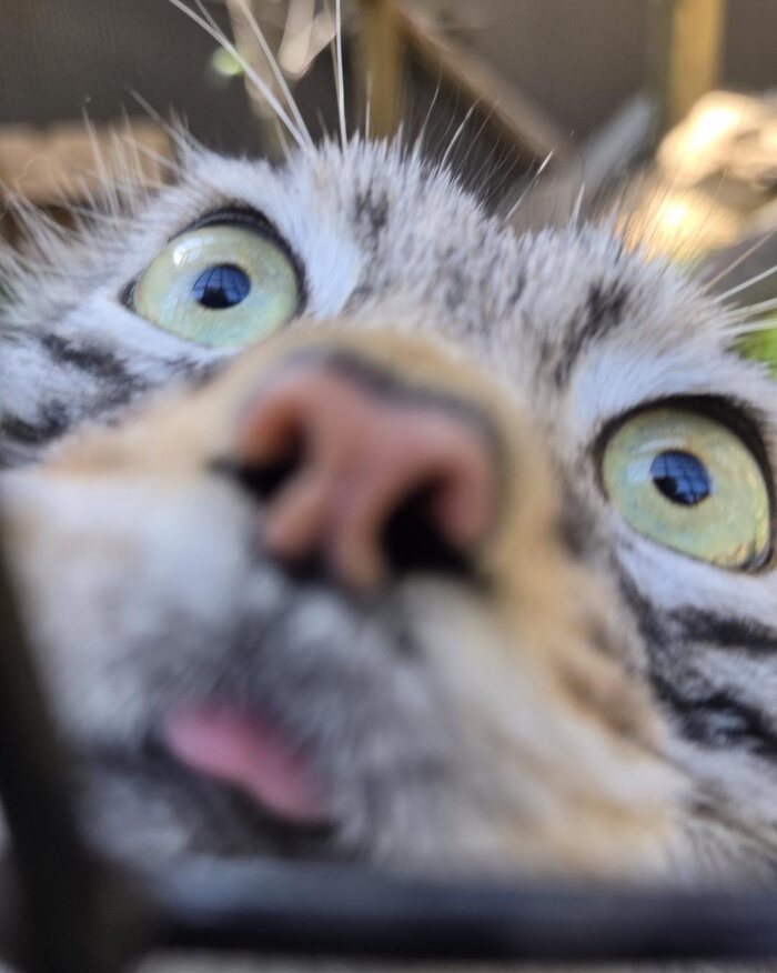 ���!