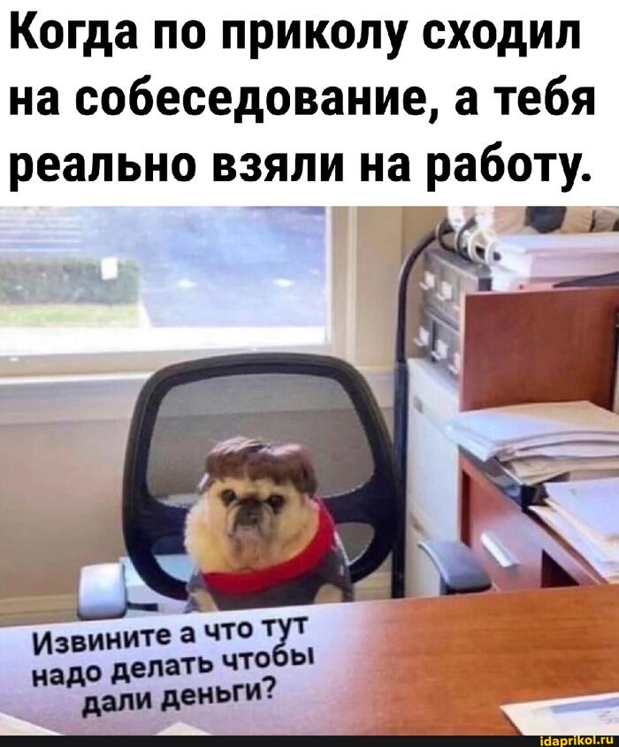 � ���