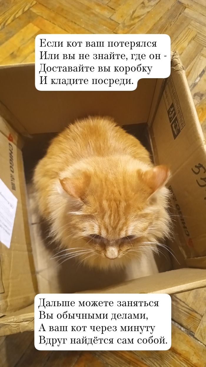 Вредный совет по поиску кота