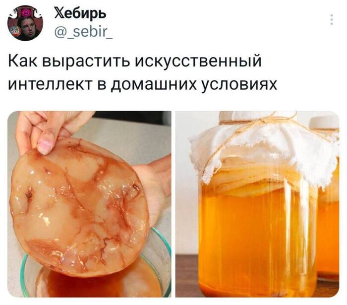 ������������� ���������