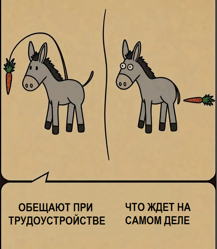 ����� �� ���� ������������