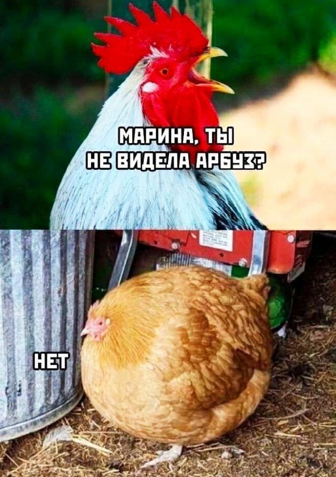 Ну просто мем, взят на миксневс