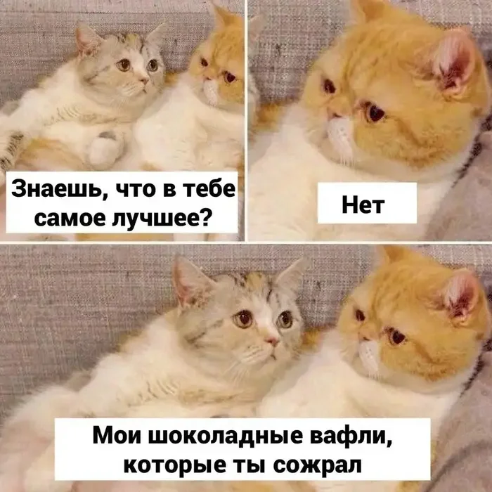 3fmtxzwe.webp
