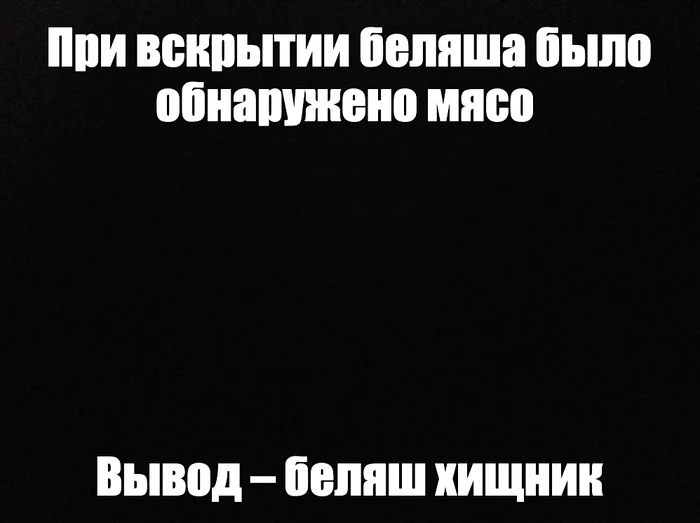 aeadwtvq.webp