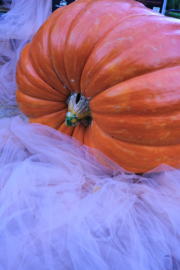 ���� �� Fujifilm GFX50S II + �������� Fujinon 30mm