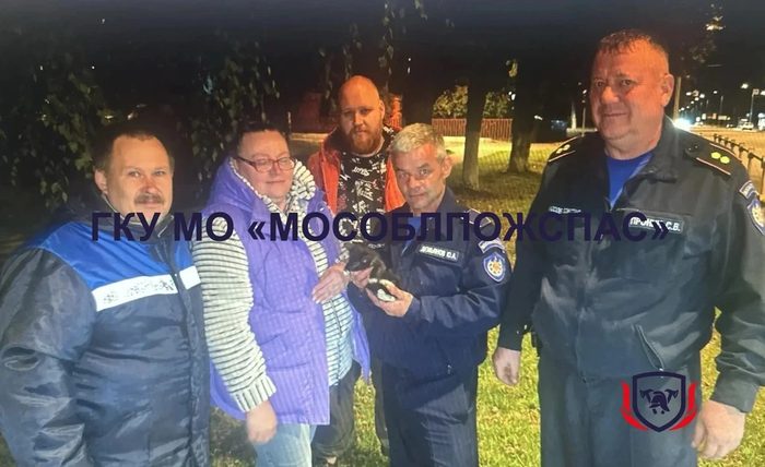 ����: ��� �� ��������������