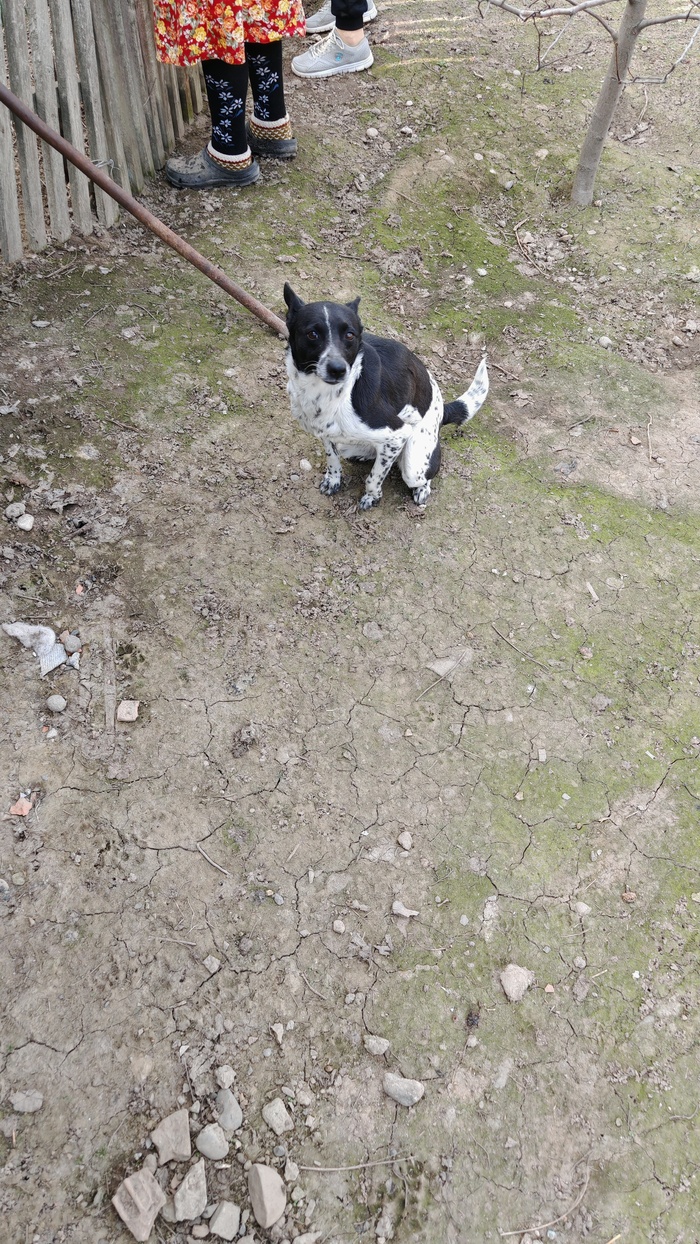 �� � ��� ����� ������� �����. ����� ����� �������) 