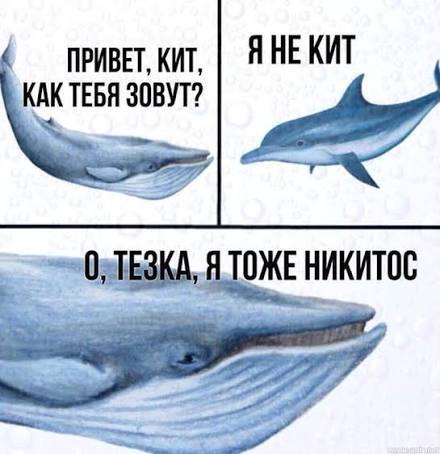 Тавтограмма: