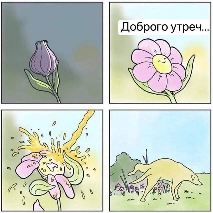 Утро добрым не бывает