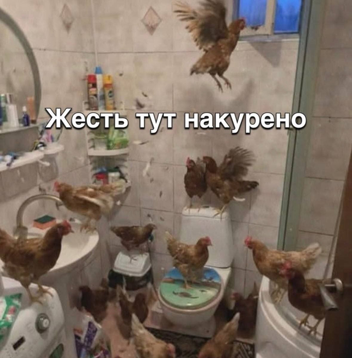 А в пепельнице - яйца