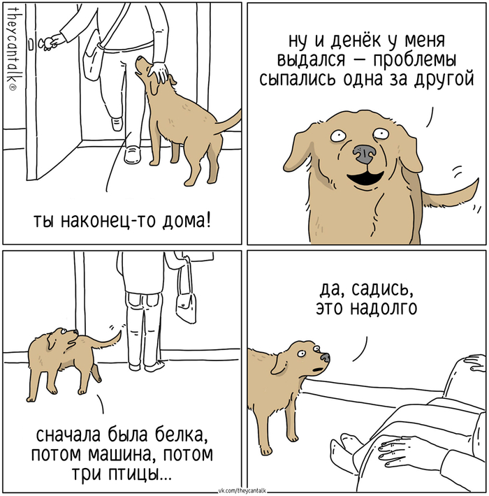 Мой день
