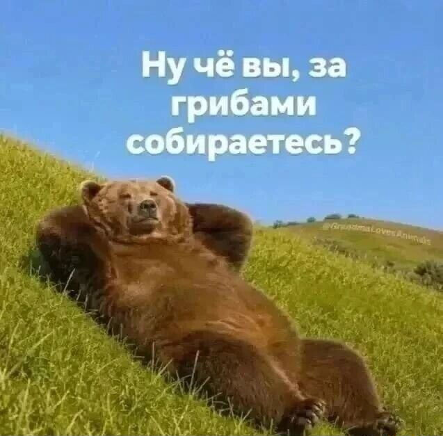 �����