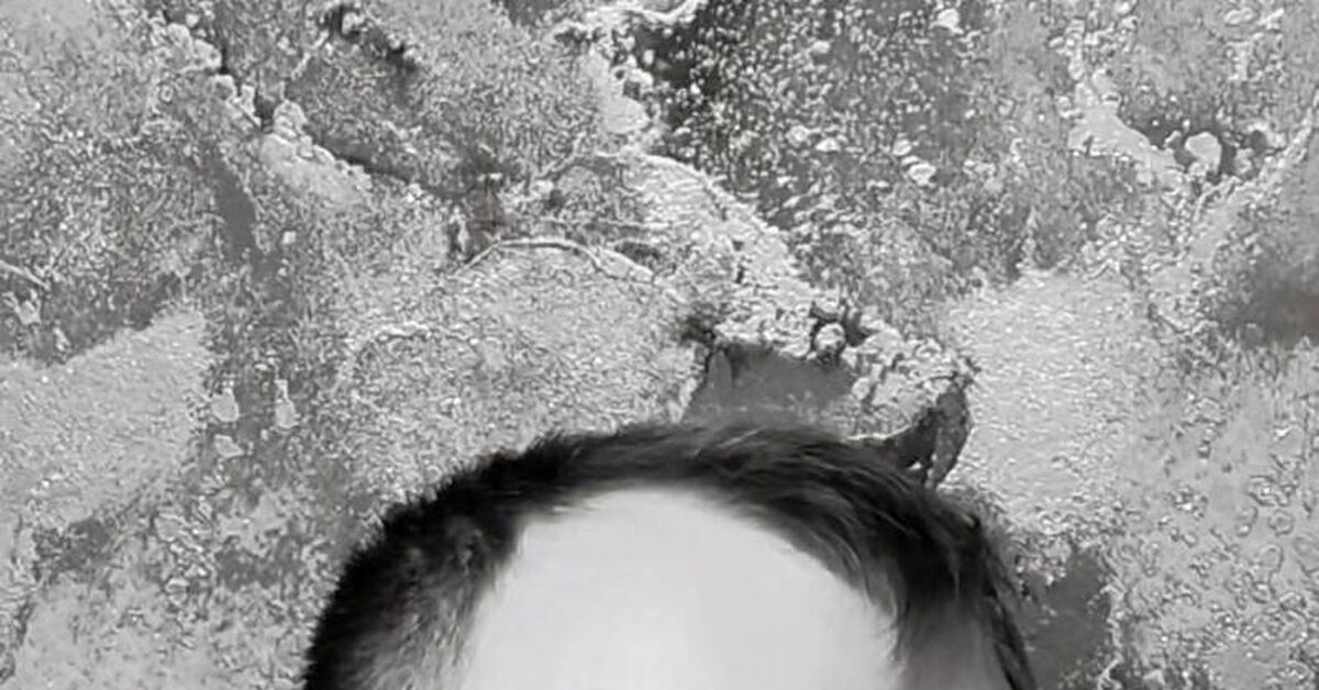 Two personalities - My, Memes, Bifurcation, Video, Video VK, Short videos
