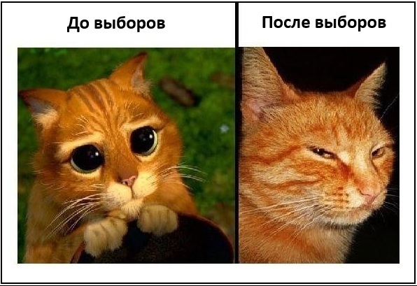 ���...