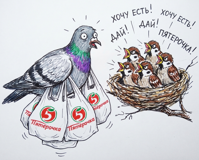 А вы тоже в детстве думали что воробушки — это птенцы голубей?!