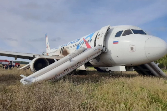 Самолёт в поле. Осень 2023 года. Сегодня о той посадке ничего не напоминает. Самолёт разобран, в поле собирают новый урожай / Анатолий Коняшкин / Из личного архива