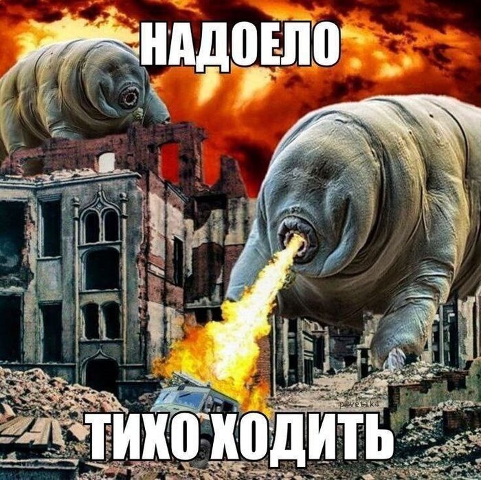 Настоящий ужас среди нас