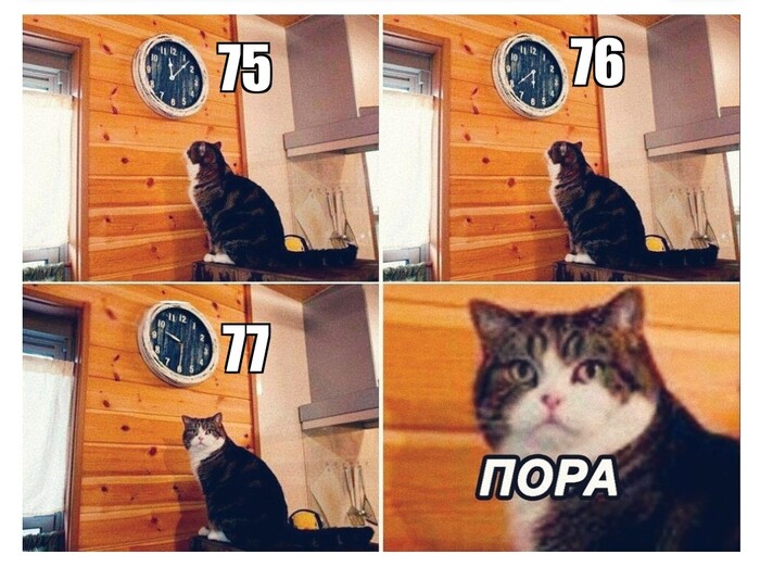 �������������� ������� ������ � ���-���� ���� 77 �������� ������������