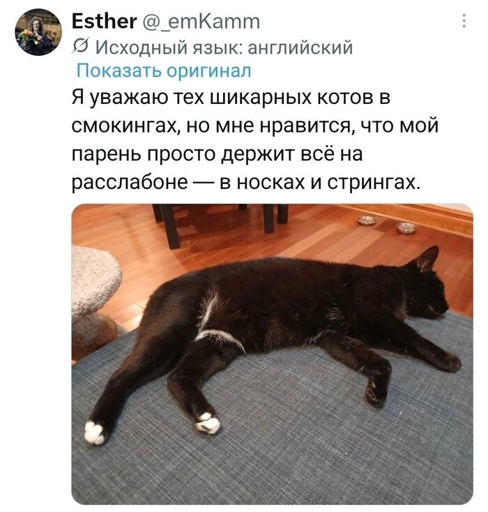 Продолжение поста «Семейные фото за которые стыдно только вам»