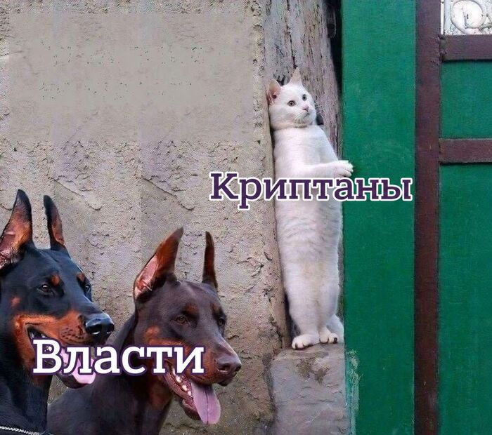 [���: <a href="https://pikabu.ru/story/kak_myi_s_vami_budem_platit_bolshe_nalogov_a_takzhe_bitva_za_regulirovanie_ai_glavnoe_za_nedelyu_14372125?u=https%3A%2F%2Ft.me%2Flentachold%2F16417&t=%D0%9B%D0%B5%D0%BD%D1%82%D0%B0%D1%87&h=49526f8575f7aae0556033d57098199d22813288" title="https://t.me/lentachold/16417" target="_blank" rel="nofollow noopener">������</a>]