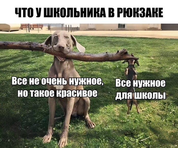 Мем