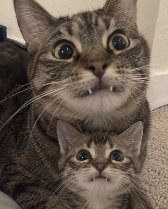 ����� � ����������