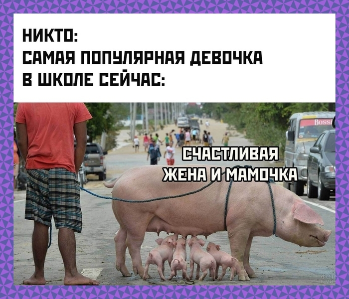 qe7dwzer.jpg