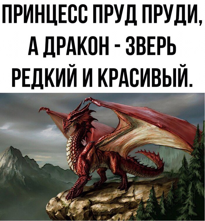 ��� ����� �����